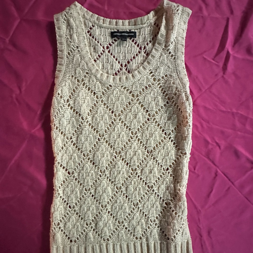 Express sweater vest